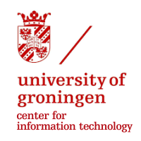 nptaal referentie University of Groningen Center for information Technology
